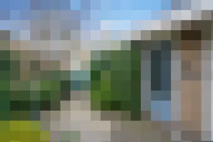 Wielengahof 18 Delft thumbnail 34