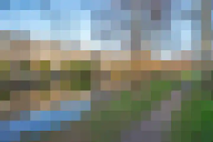Wielengahof 18 Delft thumbnail 39
