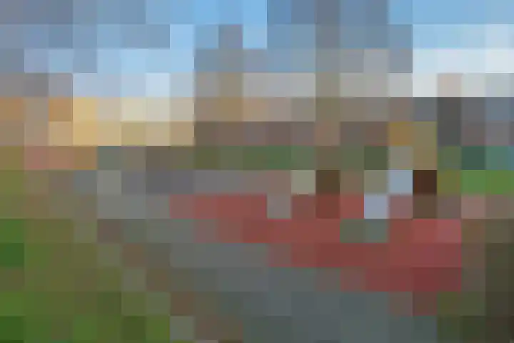 Wielengahof 18 Delft thumbnail 40