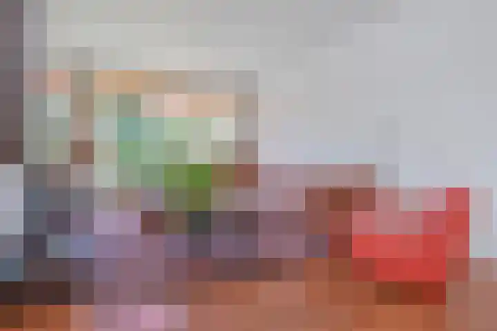 Wielengahof 24 Delft thumbnail 11