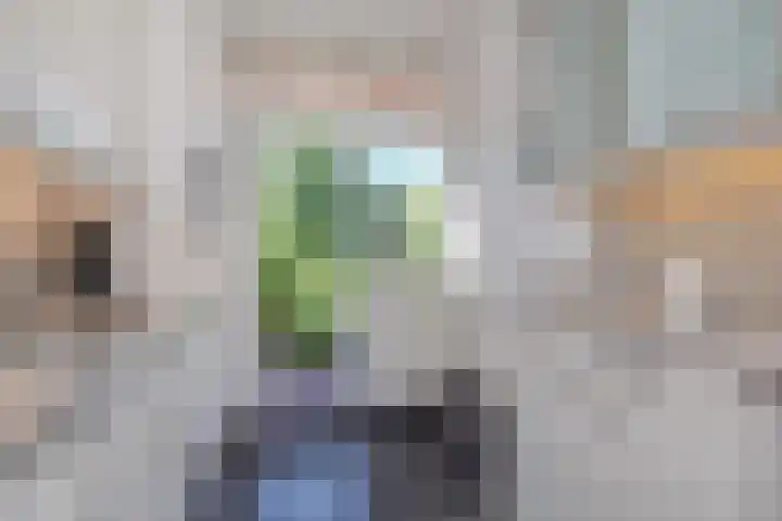 Wielengahof 24 Delft thumbnail 19