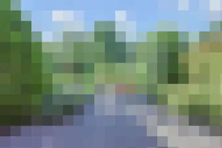 Wielengahof 24 Delft thumbnail 20