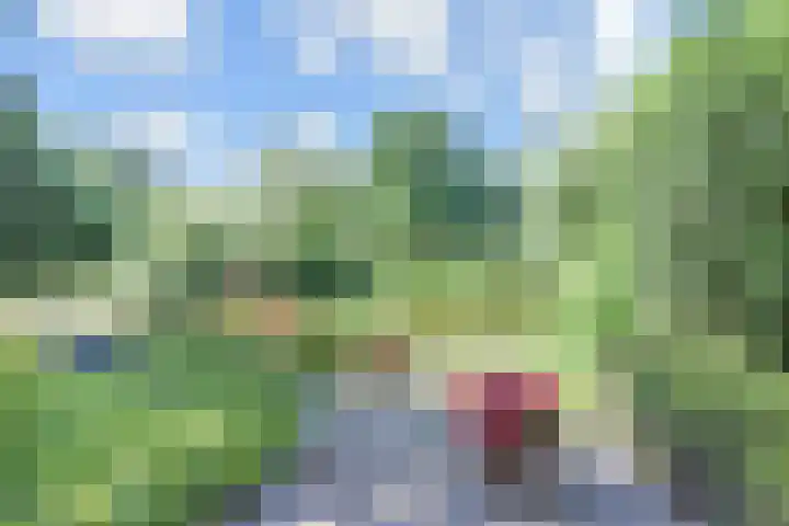 Wielengahof 24 Delft thumbnail 21