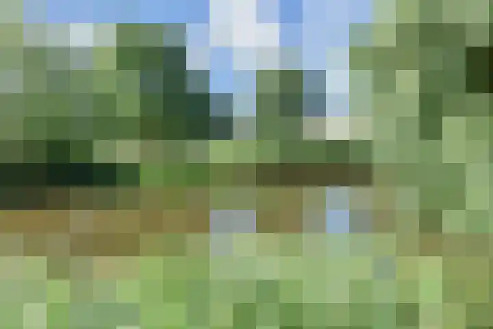 Wielengahof 24 Delft thumbnail 22