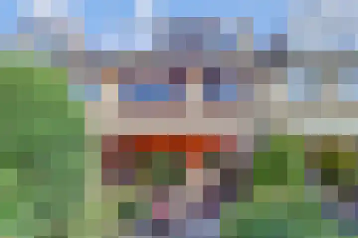 Wielengahof 24 Delft thumbnail 23