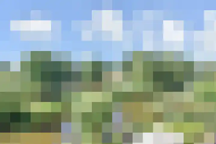 Wielengahof 24 Delft thumbnail 28
