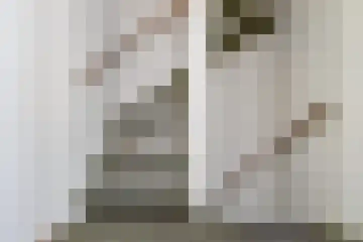 Wielengahof 24 Delft thumbnail 34