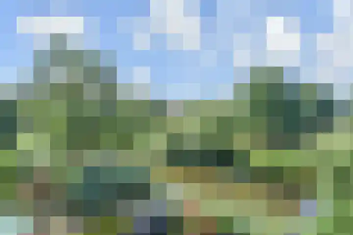 Wielengahof 24 Delft thumbnail 42