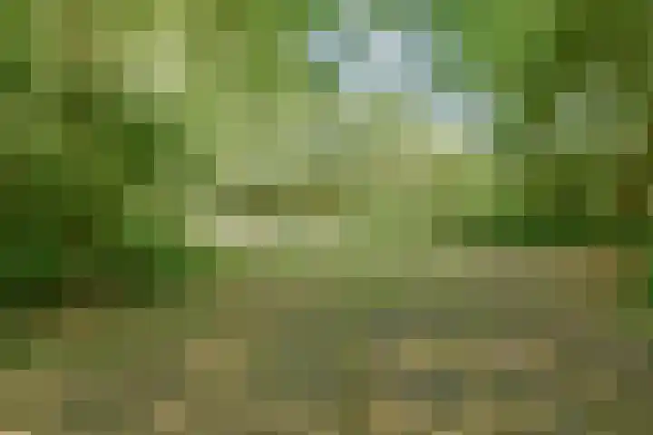 Wielengahof 24 Delft thumbnail 43
