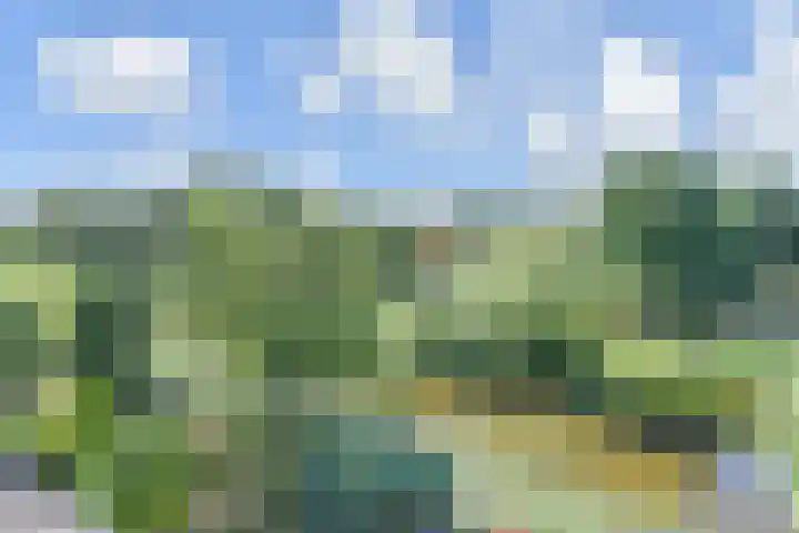Wielengahof 24 Delft thumbnail 5