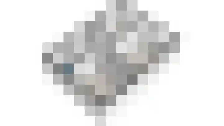 Wielengahof 24 Delft thumbnail 51