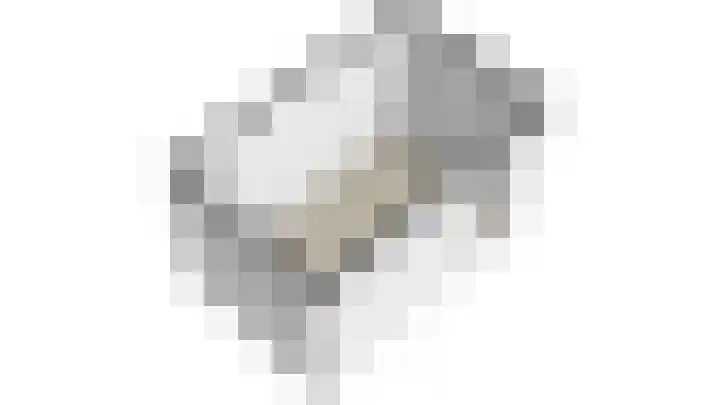 Wielengahof 24 Delft thumbnail 52