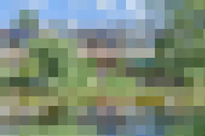 Wielengahof 24 Delft thumbnail 55