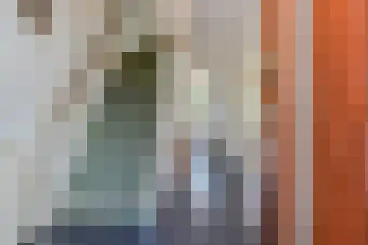 Wielengahof 24 Delft thumbnail 9