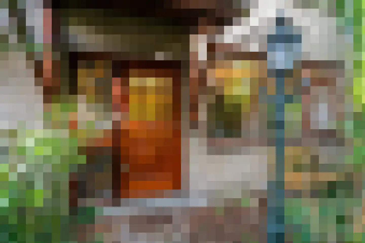 Wielengahof 56 Delft thumbnail 10