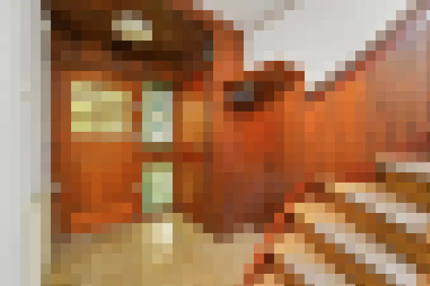 Wielengahof 56 Delft thumbnail 13