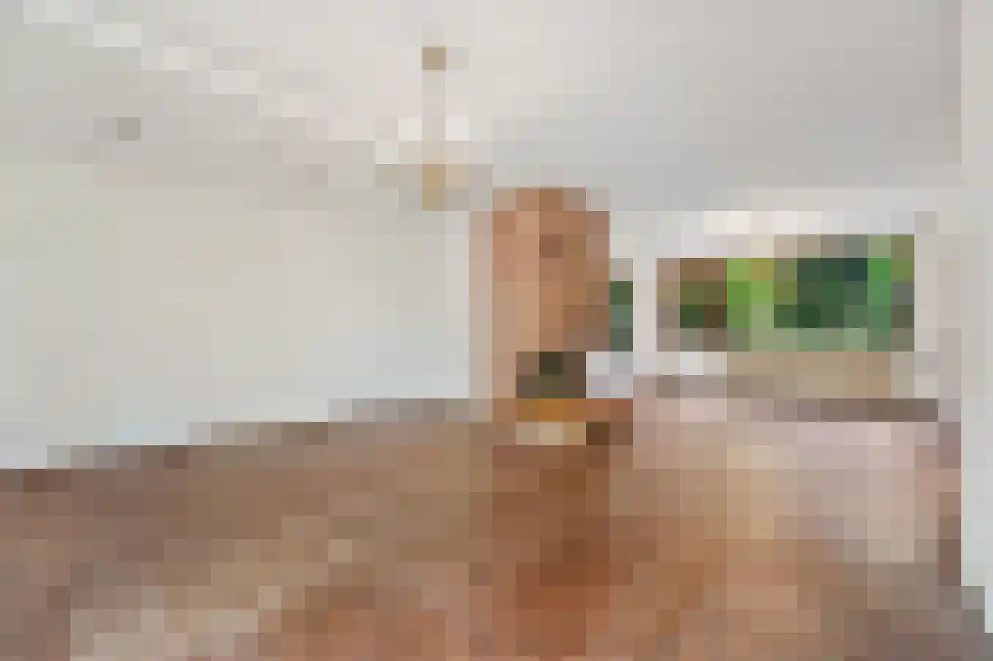 Wielengahof 56 Delft thumbnail 17