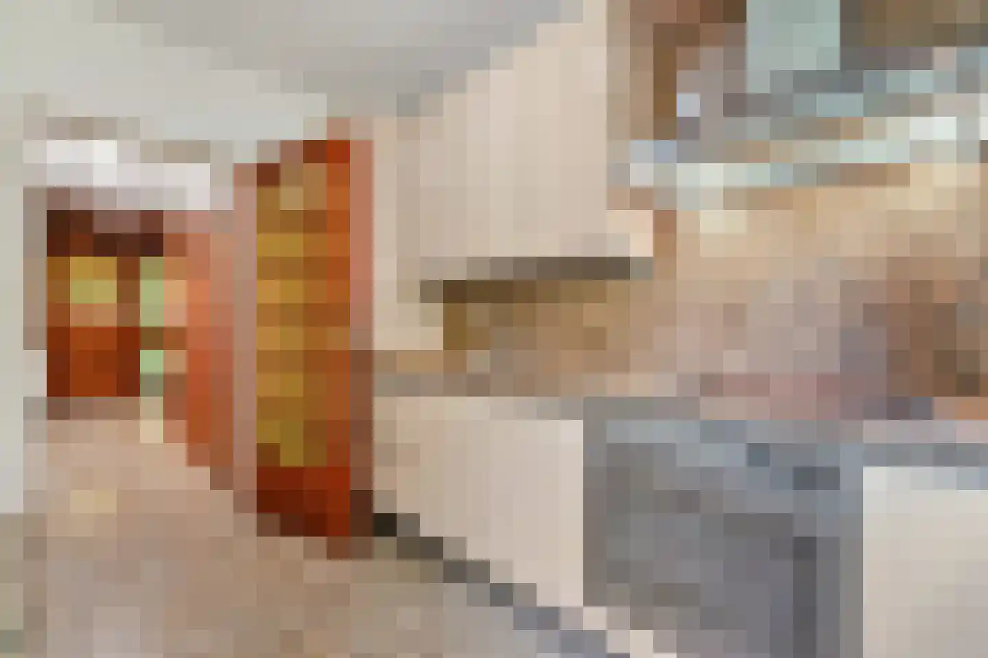Wielengahof 56 Delft thumbnail 21