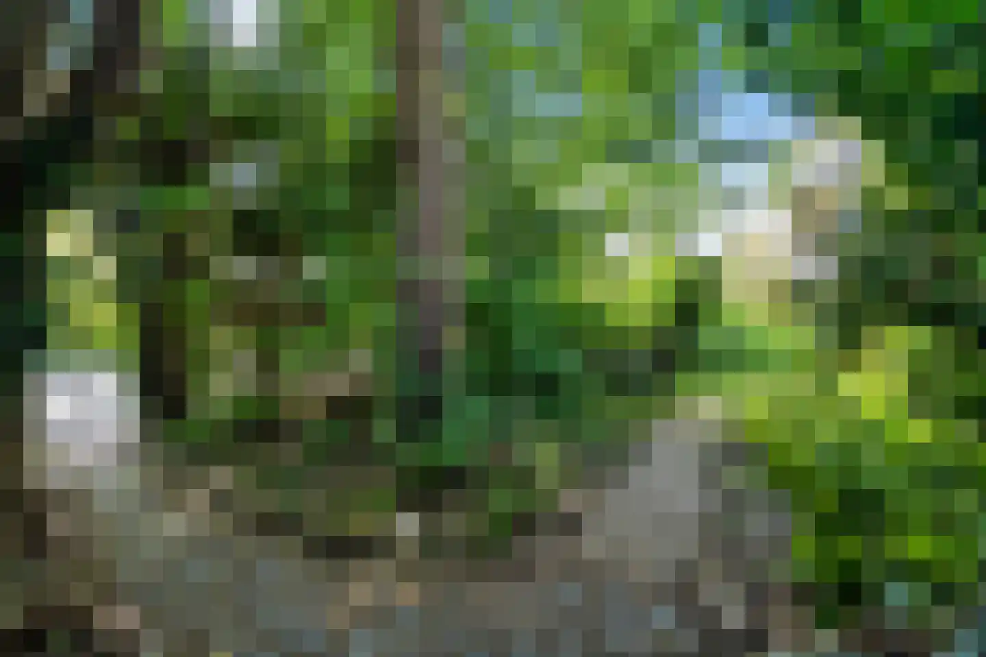 Wielengahof 56 Delft thumbnail 29