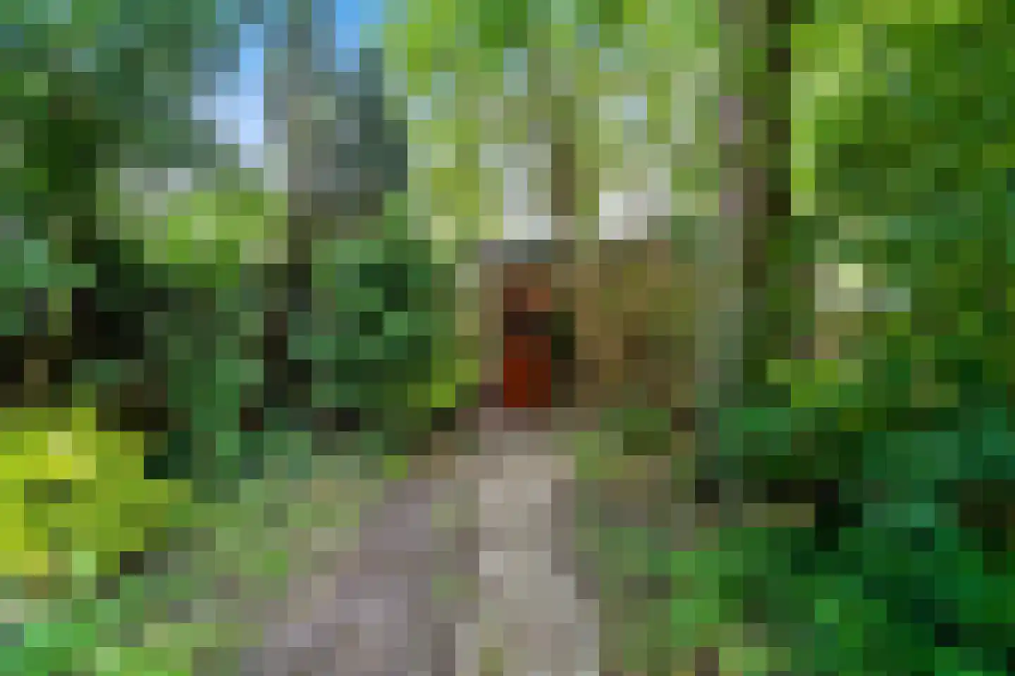 Wielengahof 56 Delft thumbnail 4