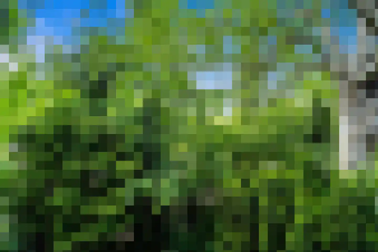 Wielengahof 56 Delft thumbnail 48