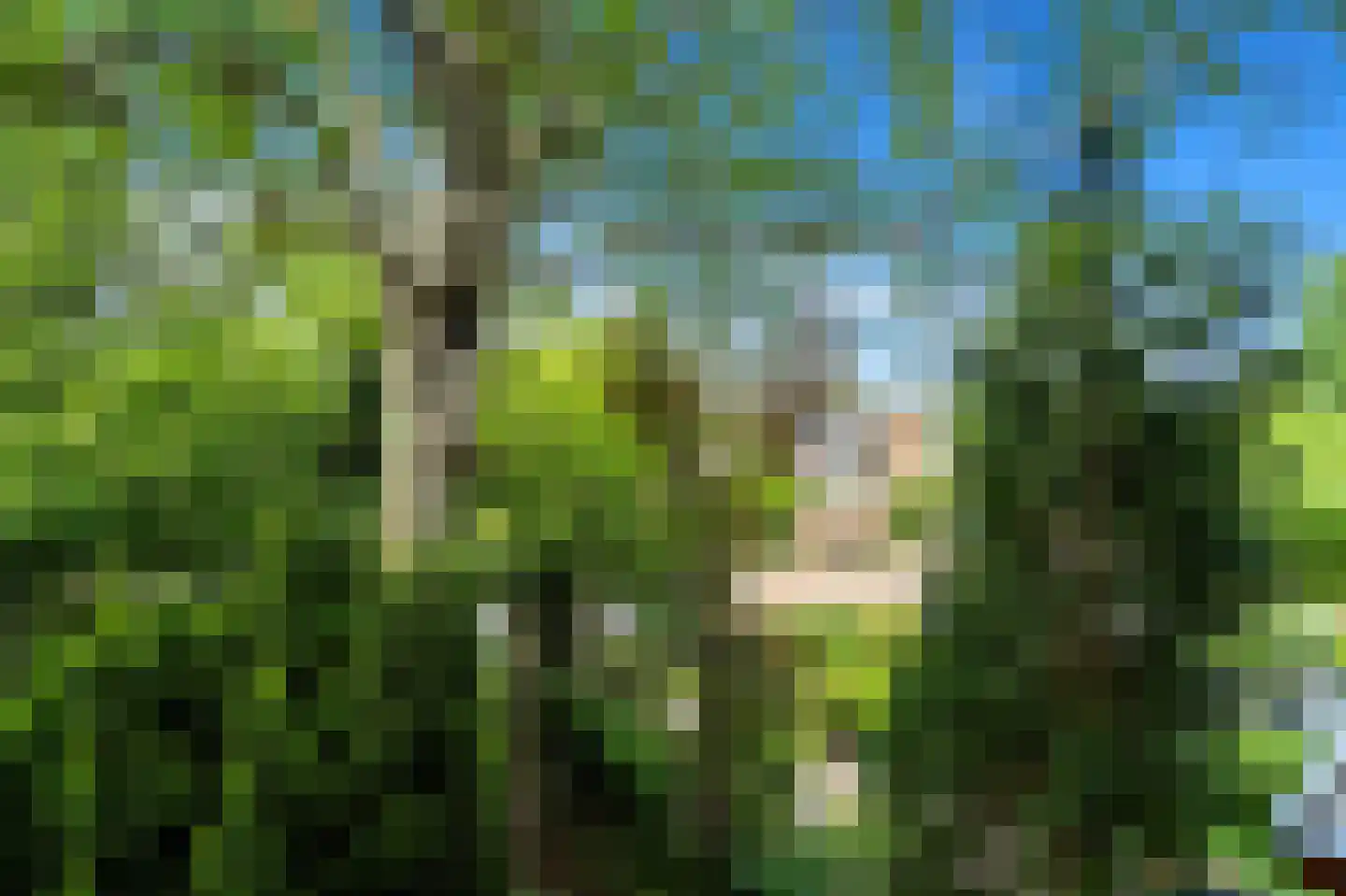 Wielengahof 56 Delft thumbnail 49