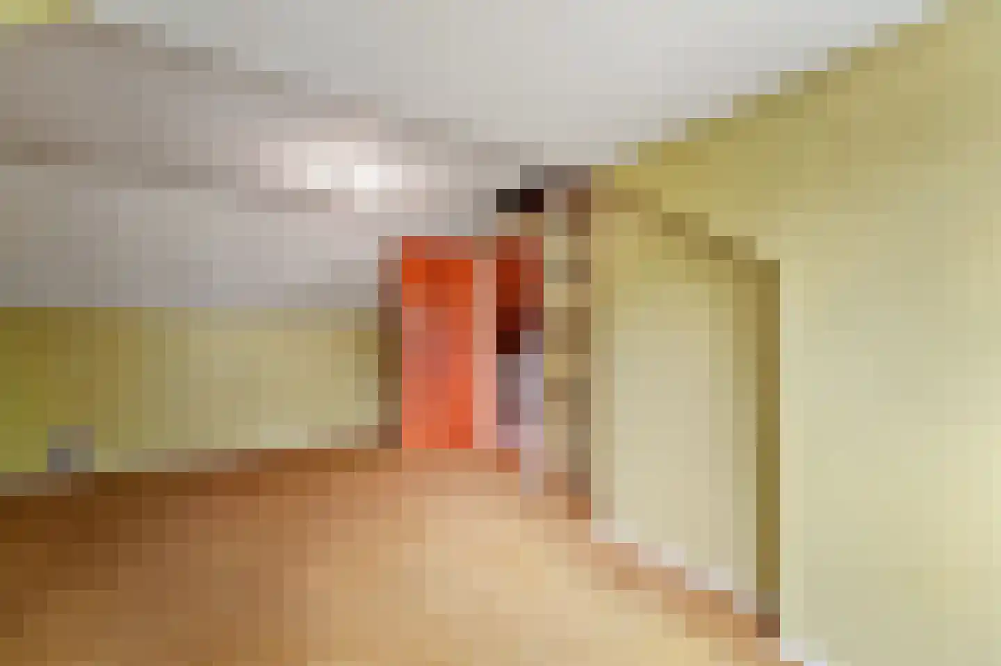 Wielengahof 56 Delft thumbnail 55