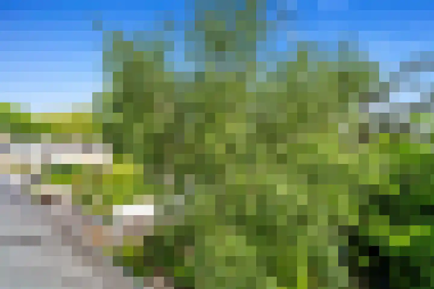 Wielengahof 56 Delft thumbnail 57