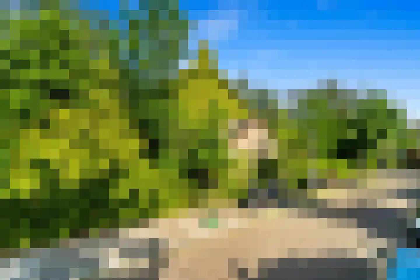 Wielengahof 56 Delft thumbnail 59
