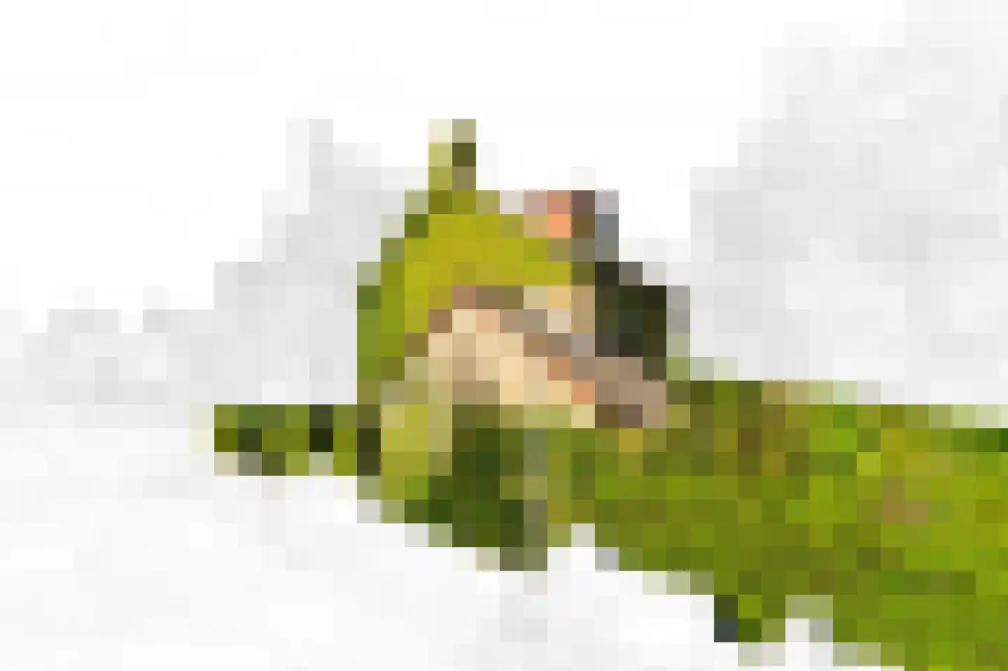 Wielengahof 56 Delft thumbnail 6