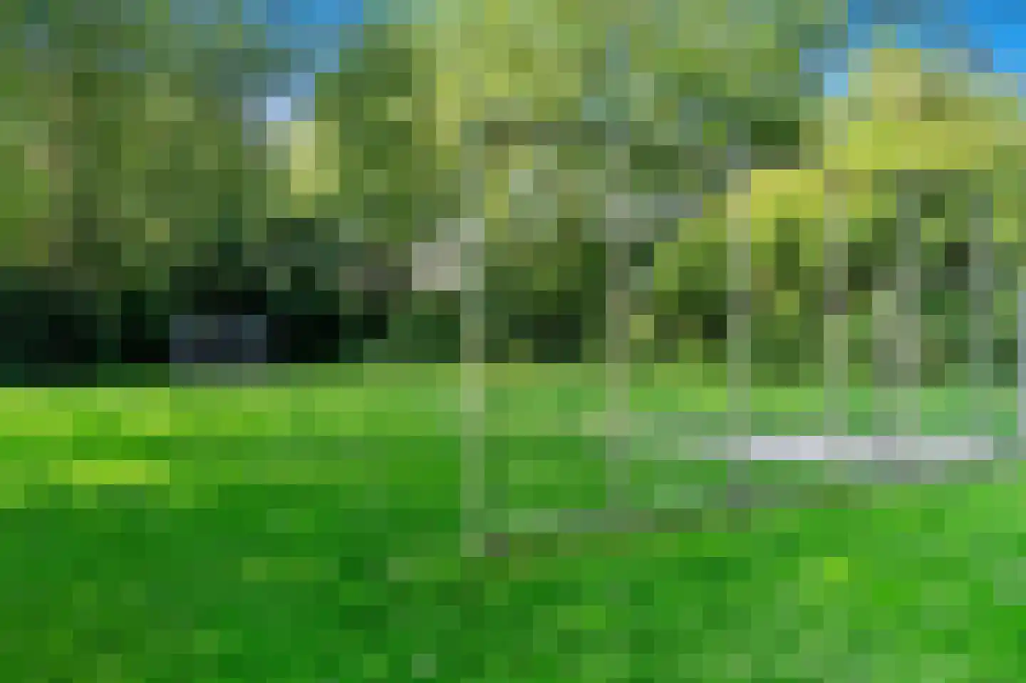 Wielengahof 56 Delft thumbnail 61