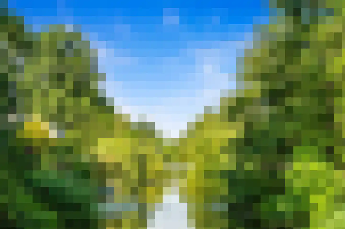 Wielengahof 56 Delft thumbnail 62