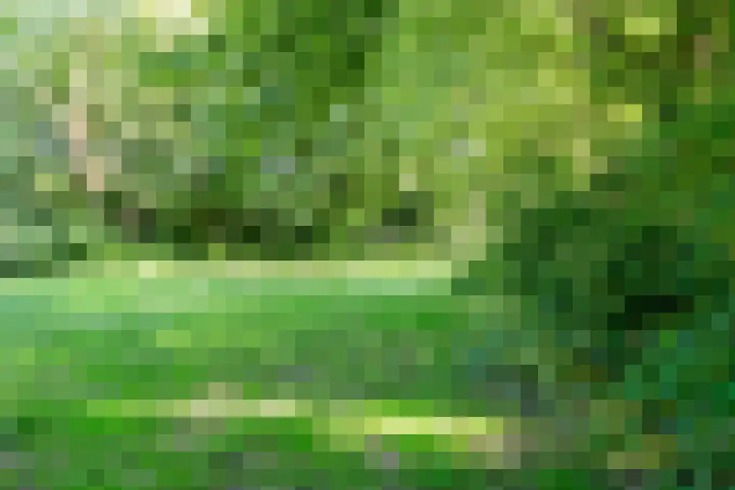 Wielengahof 56 Delft thumbnail 64