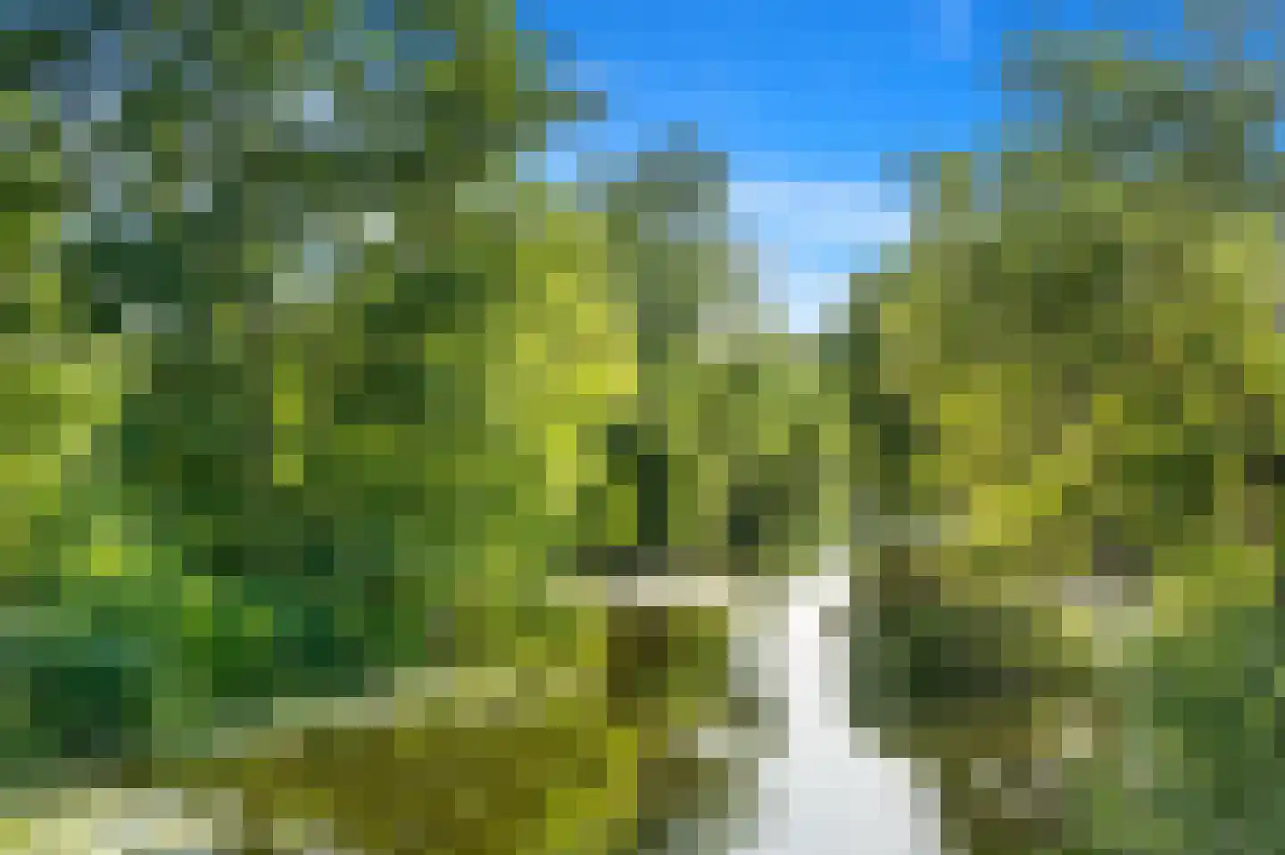 Wielengahof 56 Delft thumbnail 66