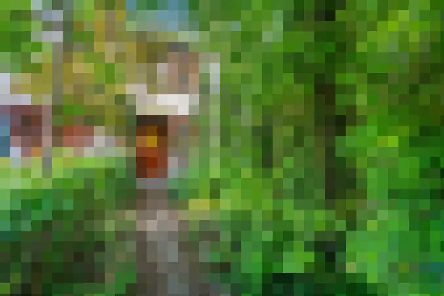 Wielengahof 56 Delft thumbnail 8