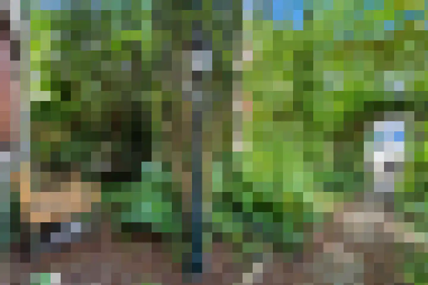 Wielengahof 56 Delft thumbnail 9