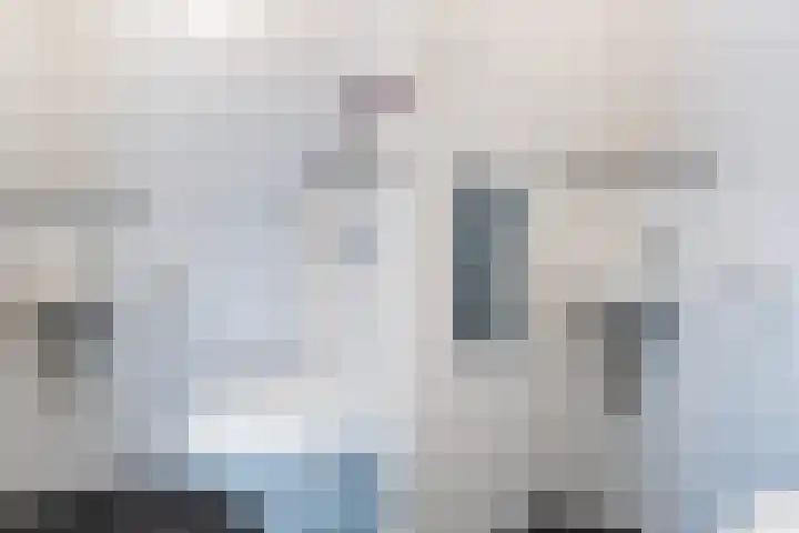 Wielenlaan 29 Boornzwaag thumbnail 10