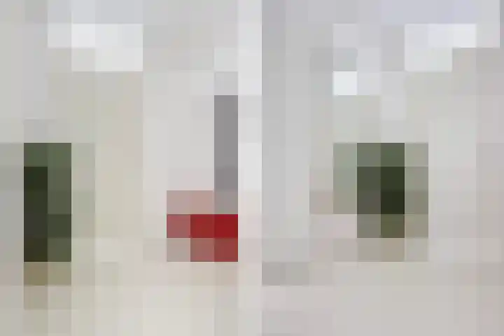Wielenlaan 29 Boornzwaag thumbnail 13