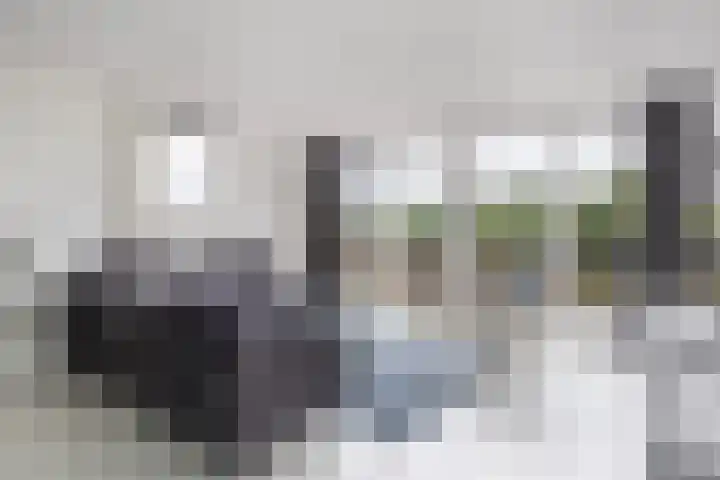 Wielenlaan 29 Boornzwaag thumbnail 14