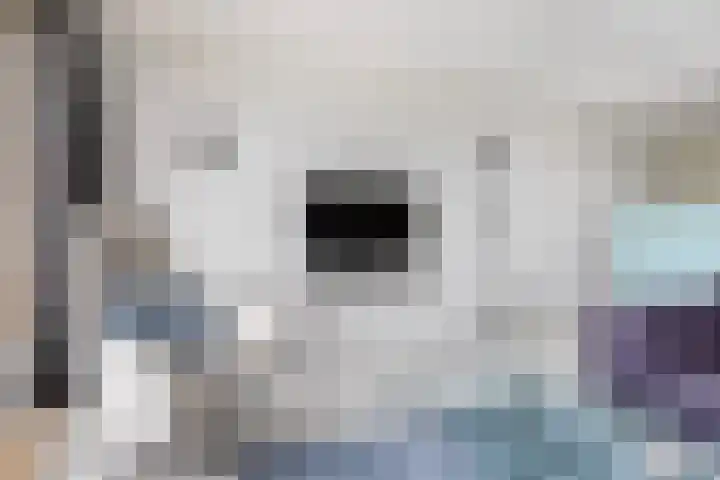 Wielenlaan 29 Boornzwaag thumbnail 16