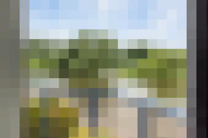 Wielenlaan 29 Boornzwaag thumbnail 17