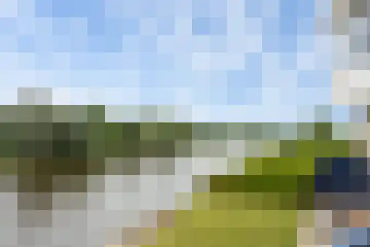 Wielenlaan 29 Boornzwaag thumbnail 21