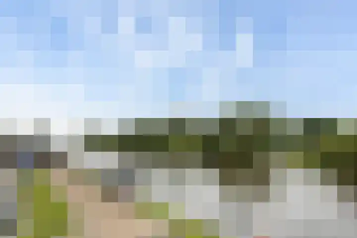 Wielenlaan 29 Boornzwaag thumbnail 22