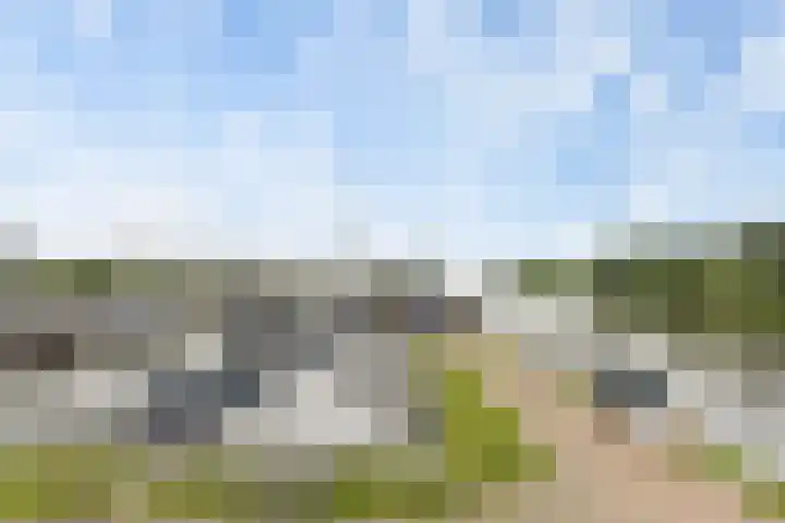 Wielenlaan 29 Boornzwaag thumbnail 23