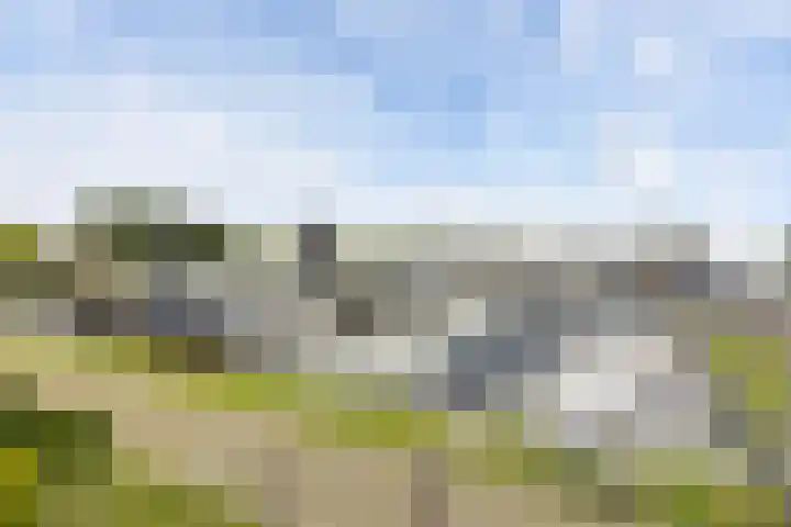 Wielenlaan 29 Boornzwaag thumbnail 24