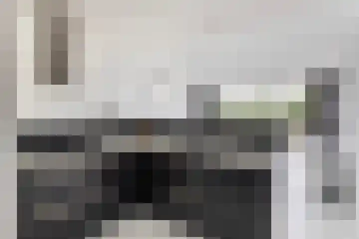 Wielenlaan 29 Boornzwaag thumbnail 27