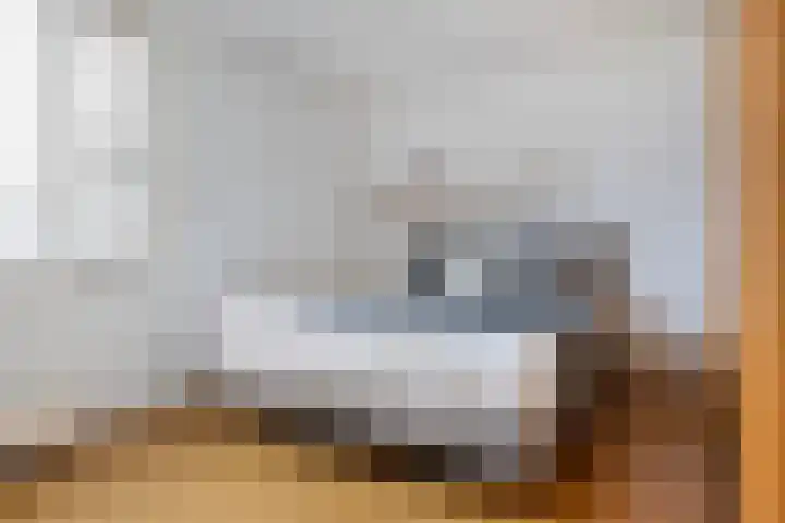 Wielenlaan 29 Boornzwaag thumbnail 29