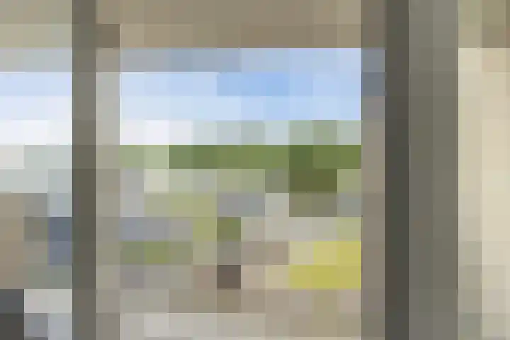 Wielenlaan 29 Boornzwaag thumbnail 35