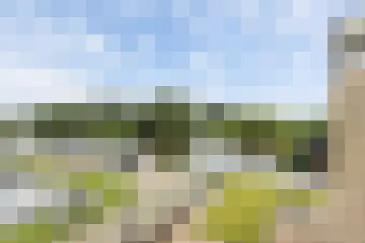 Wielenlaan 29 Boornzwaag thumbnail 37