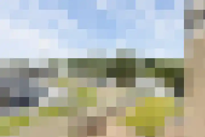 Wielenlaan 29 Boornzwaag thumbnail 39